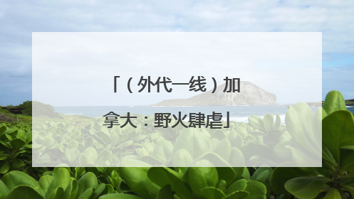 （外代一线）加拿大：野火肆虐